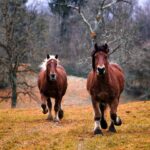 Living Creatively: Turning Everyday Moments into Inspiration